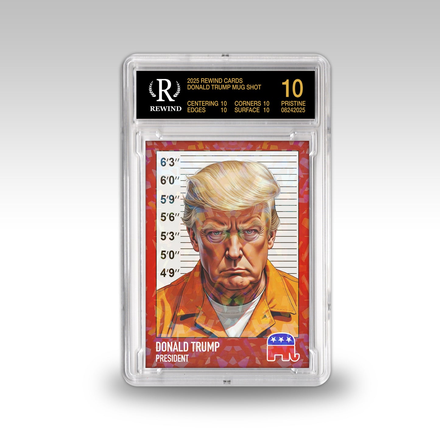Donald Trump - Mugshot